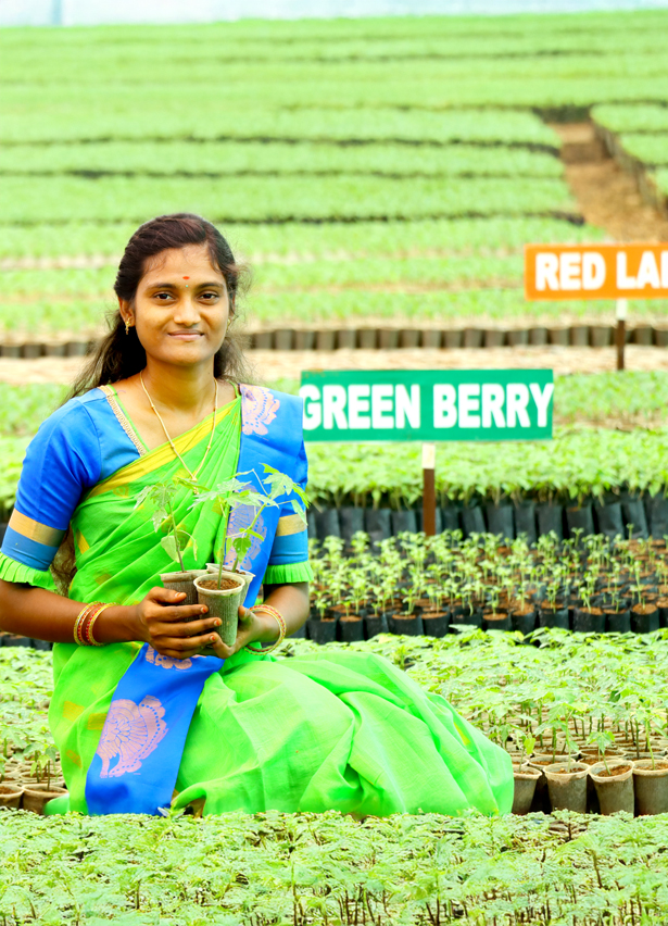 Farm Image