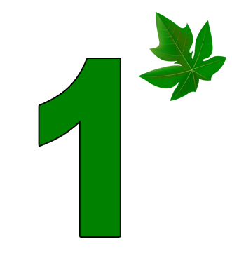 Step 01