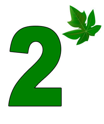 Step 02