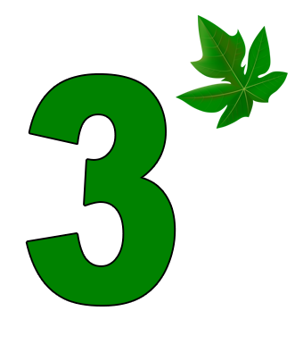 Step 03