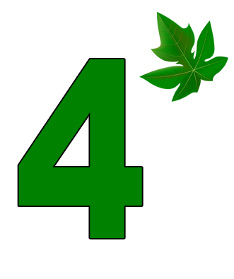 Step 04