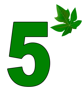 Step 05