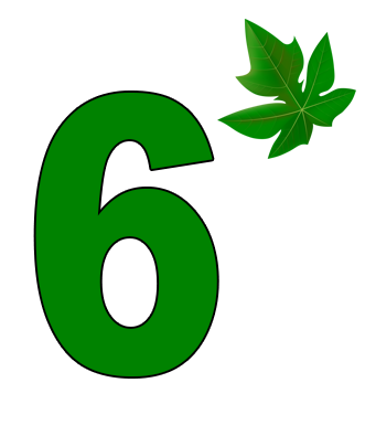 Step 06