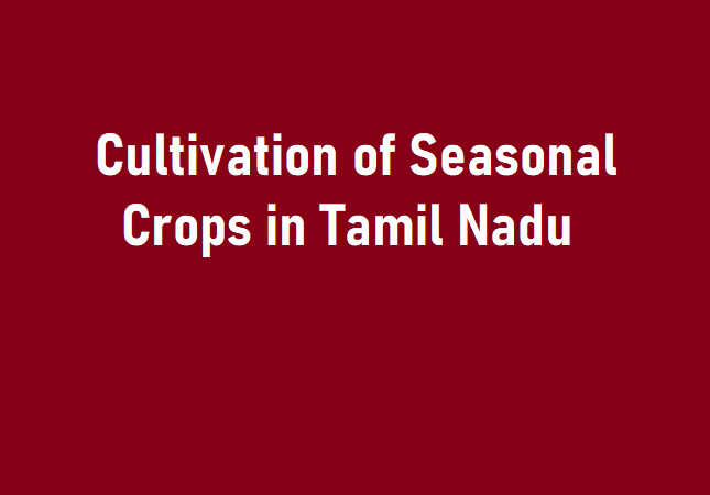 Which crops can be cultivated in Tamil Nadu during each season (month wise) 