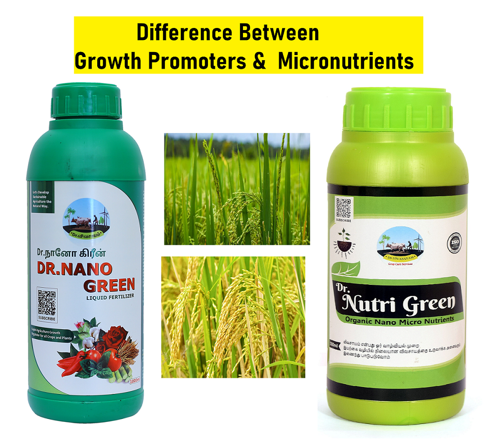 Comprehensive exploration elucidating the intricate disparities between growth promoters and micronutrients, offering a detailed analysis of their distinct characteristics, functions, and consequential impacts